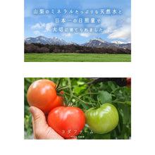 Load image into Gallery viewer, Reservations Sequentially shipped from mid-late April Autumn sales start Fresh Momotaro tomatoes delivered directly from the production area 4kg

