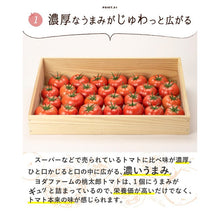 画像をギャラリービューアに読み込む, 【予約 】4月より順次発送 贈答用 新鮮産地直送桃太郎トマト 1kg
