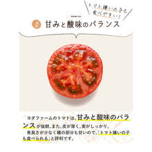 Load image into Gallery viewer, Reservation Sequentially shipped from mid-late April Fresh Momotaro tomatoes 1kg
