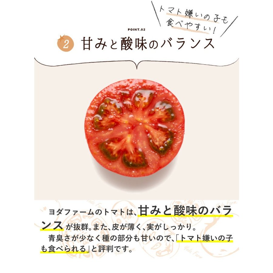 Momotaro tomato delivered directly from fresh production