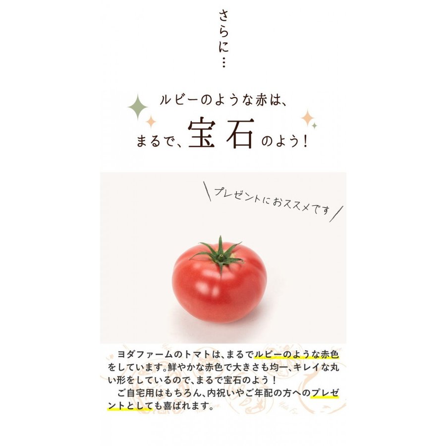 Momotaro tomato delivered directly from fresh production